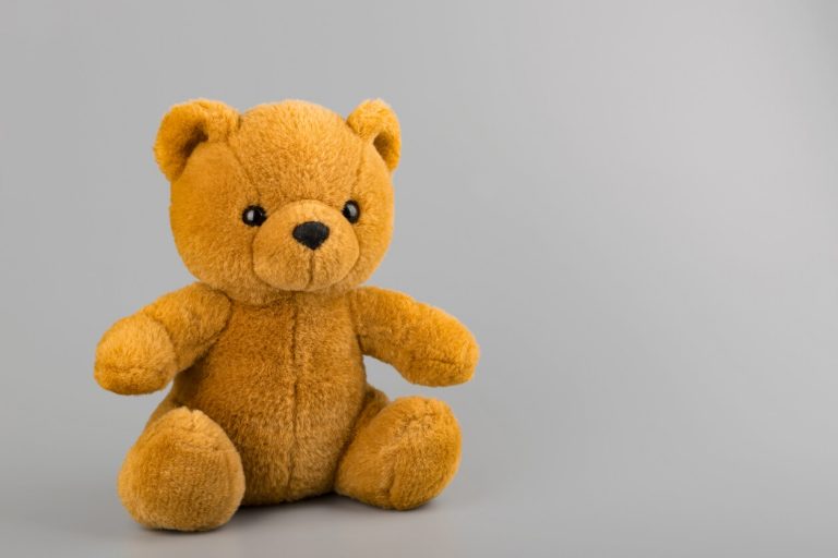 Teddy bear on grey background