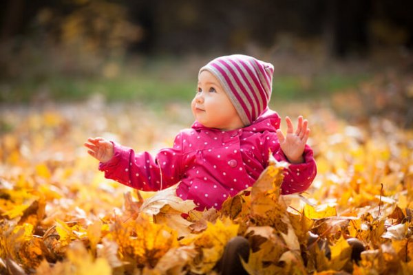 a baby sitting in foliage during fall