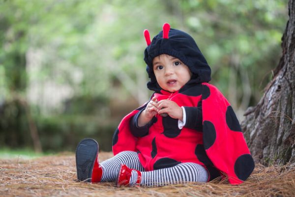 a baby dressed in a halloween ladybird costume