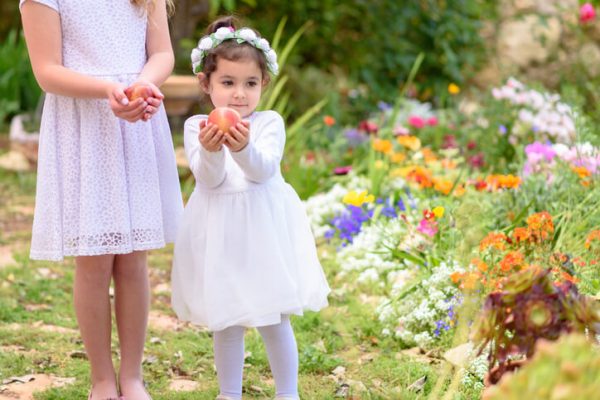 Jewish Holiday Shavuot and Rosh Hashanah. Two little girls holds red apple at the hands on beautiful garden background.