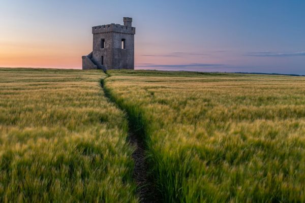 A lookout fort standing proud in a field of wheat at sunset in Ireland