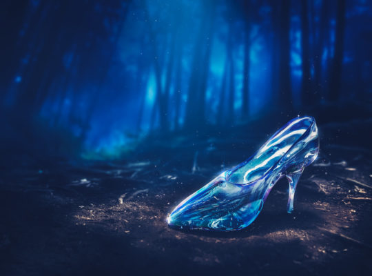 Cinderella's slipper in a forest in the nighttime
