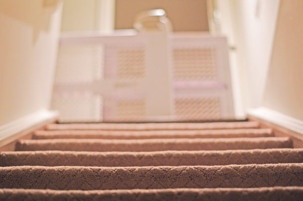 Baby gate view from basement with carpet stairs