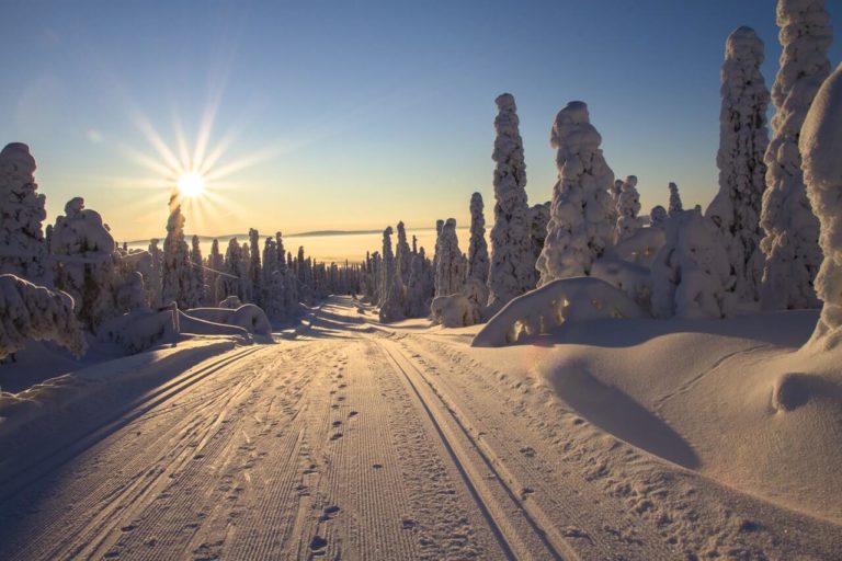 a snowy landscape in Finland